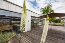 Luxus-Apartment-Woerthersee-kaufen