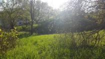 20180419_175233