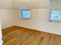 Penthouse-Klagenfurt-Erstbezug-kaufen