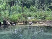 Baugrund-Woerthersee-Sattnitz-kaufen